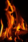 firelight