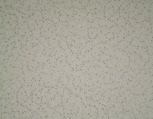 The view from the floor when you are lying on your back in a lecture room.