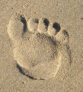 footprint 2
