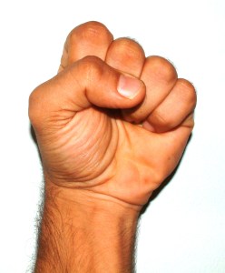 fist