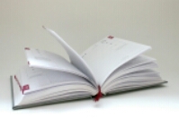 wp-1411994474084 image