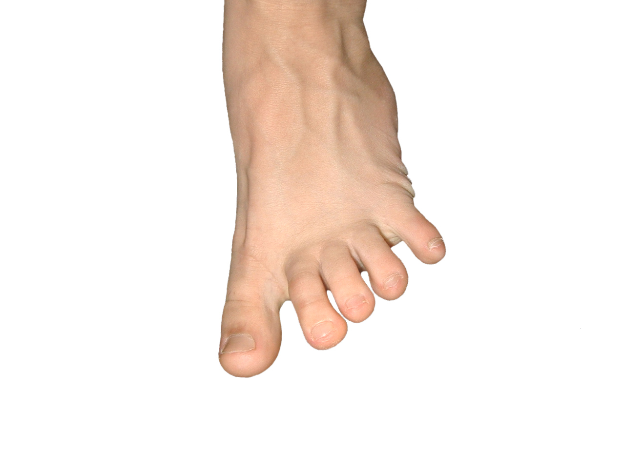foot