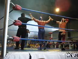 Image result for wrestling ring